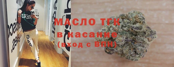 шишки Гусь-Хрустальный