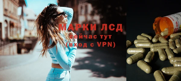 шишки Гусь-Хрустальный
