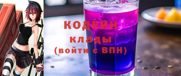 шишки Гусь-Хрустальный