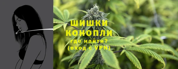 шишки Горно-Алтайск