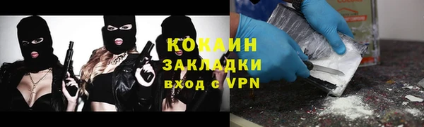 шишки Гусь-Хрустальный