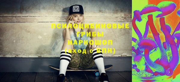 шишки Гусь-Хрустальный