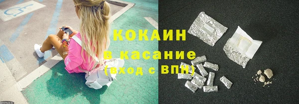 шишки Гусь-Хрустальный