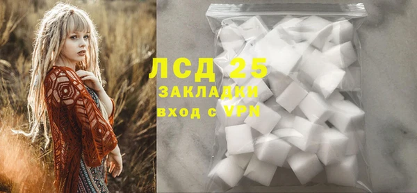 шишки Гусь-Хрустальный
