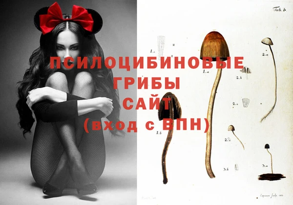 не бодяженный Гусев