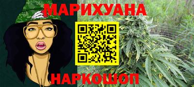 гидропоника Дубна