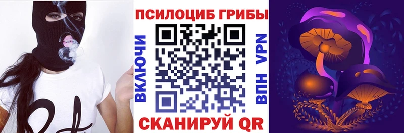 Псилоцибиновые грибы мухоморы  Губкинский 