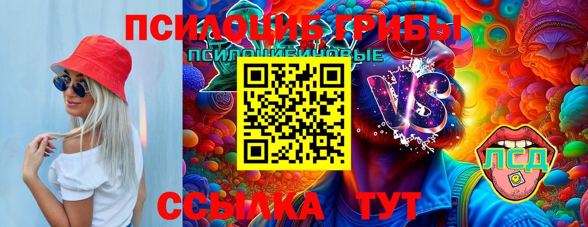 Губкинский  Галлюциногенные грибы GOLDEN TEACHER  Вход с VPN  Псилоцибиновые грибы ЛСД 