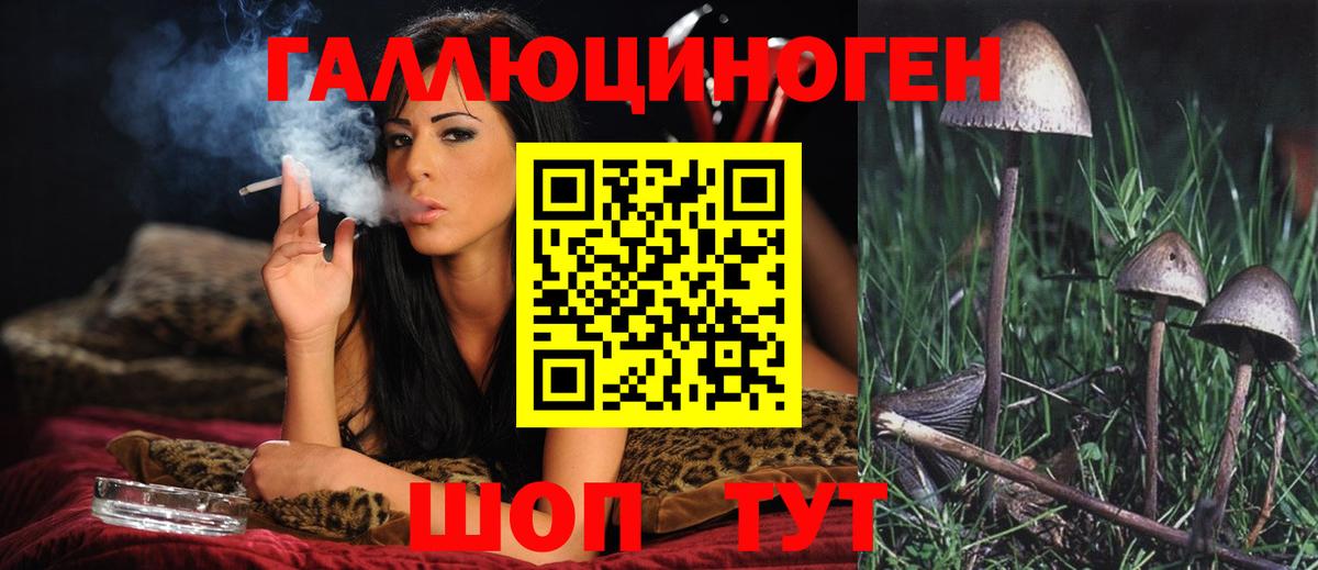 Галлюциногенные грибы мухоморы Губкинский